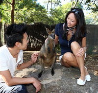 VIP Aussie Gold - Tourism Townsville