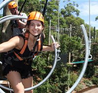 Wild Ropes at Taronga Zoo - Tourism Townsville