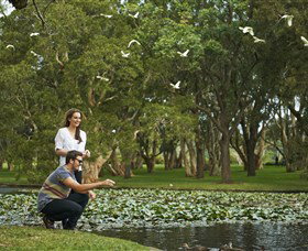 Centennial Parklands - Tourism Townsville 3