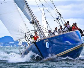 Pilgrim Sailing - Tourism Townsville 8