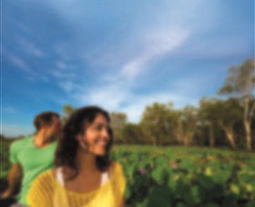 AAT Kings Guided Tours (Top End) - Tourism Townsville 3