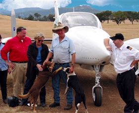 Bankstown Aerodrome NSW Tourism Townsville