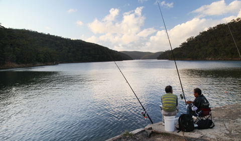 D'Albora Marinas At Akuna Bay - Tourism Townsville 3