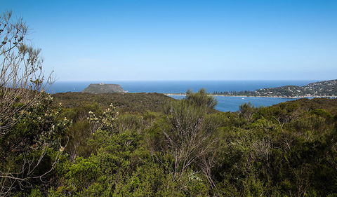 Aboriginal Heritage Walk - Tourism Townsville 1