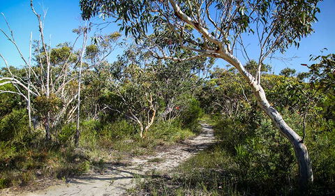 Aboriginal Heritage Walk - Tourism Townsville 2
