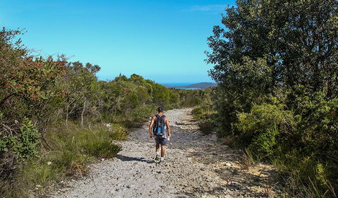 Aboriginal Heritage Walk - Tourism Townsville 3