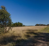 Scheyville horse riding trails - Tourism Townsville