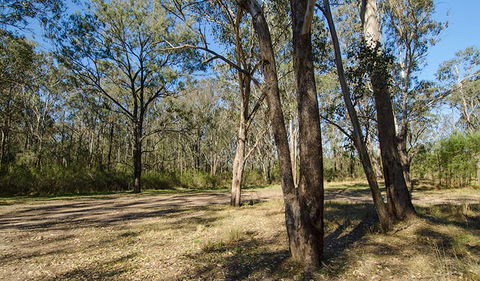 Scheyville Horse Riding Trails - Tourism Townsville 1
