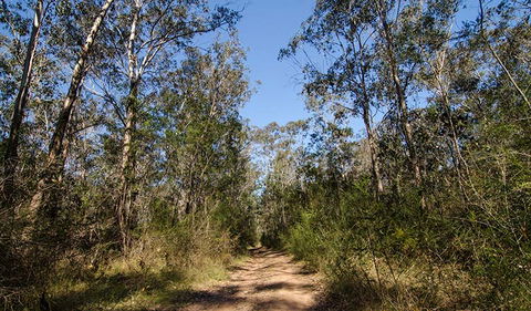 Scheyville Horse Riding Trails - Tourism Townsville 3