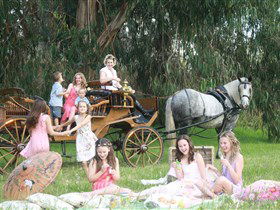 Classic Carriage Drives - Tourism Townsville 1