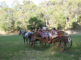 Classic Carriage Drives - Tourism Townsville 3
