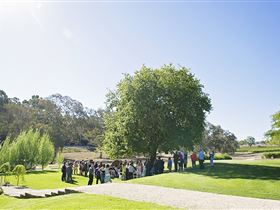 Howard Vineyard - Tourism Townsville 1