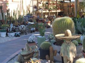 Cactus Creations - Tourism Townsville 0