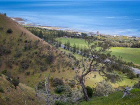 Lady Bay Beach - Tourism Townsville 1