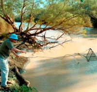 Charleville - Ward River Fishing Spot - Tourism Townsville