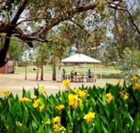 Charleville - Graham Andrews Parklands - Tourism Townsville