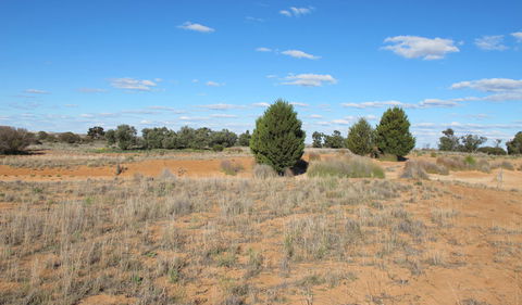 Zanci Pastoral Loop - Tourism Townsville 3