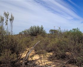 Wyperfeld National Park - Tourism Townsville 0