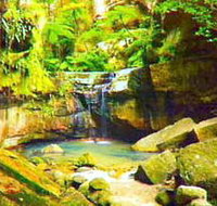 Carnarvon Gorge Carnarvon National Park - Tourism Townsville
