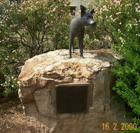 Dingo Statue - Tourism Townsville