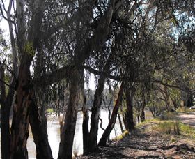 Mia Forest Drives Narrandera - Tourism Townsville 0