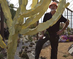 Cactus Country - Tourism Townsville 0