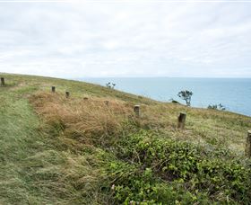 Cape Palmerston National Park - Tourism Townsville 3