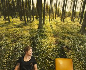 Port Fairy Massage - Tourism Townsville 0