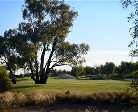 Black Bull Golf Club - Tourism Townsville 2