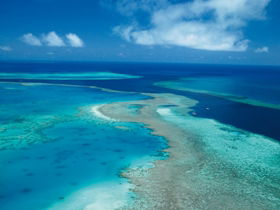 Fairey Reef - Tourism Townsville 2