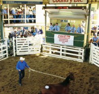 Gracemere Exhibition Complex - Tourism Townsville