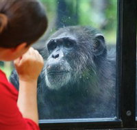 The Rockhampton Zoo - Tourism Townsville