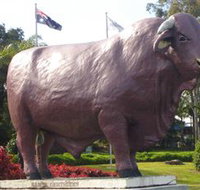 Rockhampton Bull Statues - Tourism Townsville