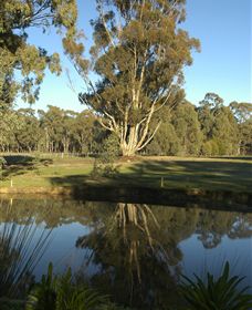 Benalla Golf Club - Tourism Townsville 5