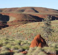 Camel Trail Millstream-Chichester National Park - Tourism Townsville