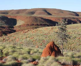 Camel Trail, Millstream-Chichester National Park - Tourism Townsville 0