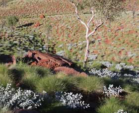 Camel Trail, Millstream-Chichester National Park - Tourism Townsville 2
