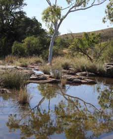 Camel Trail, Millstream-Chichester National Park - Tourism Townsville 3