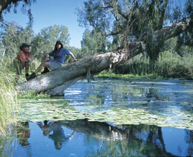 Millstream Chichester National Park - Tourism Townsville 1