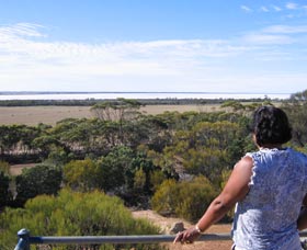 Lake Grace Lookout - Tourism Townsville 0