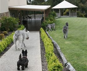 Otway Estate - Tourism Townsville 5