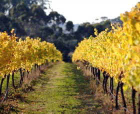 Otway Estate - Tourism Townsville 6