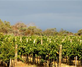 Amulet Vineyard And Beechworth Cider - Tourism Townsville 7