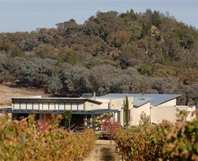 Amulet Vineyard And Beechworth Cider - Tourism Townsville 8