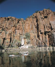 Python Pool - Tourism Townsville 3