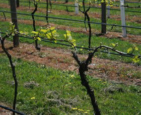 Beechworth Wine Estates - Tourism Townsville 2