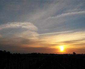Beechworth Wine Estates - Tourism Townsville 4