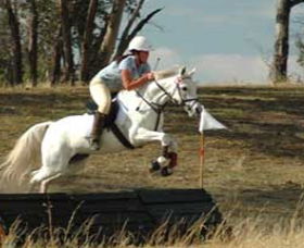 National Equestrian Centre - Kerrabee - Tourism Townsville 0