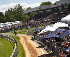 Thoroughbred Park Canberra Racing Club - Horse Racing In The Nations Capital - Tourism Townsville 0