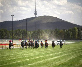 Thoroughbred Park Canberra Racing Club - Horse Racing In The Nations Capital - Tourism Townsville 3